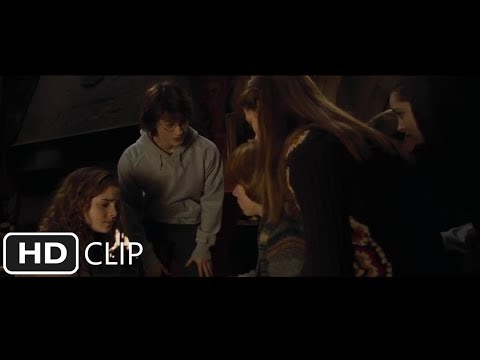 ハリーとロン、不合格になる｜『ハリー・ポッターと炎のゴブレット (Harry and Ron Get Rejected | Harry Potter and the Goblet of Fire)
