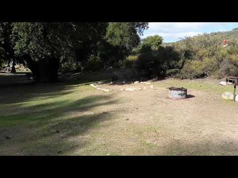 Video of sites near the back of camp.