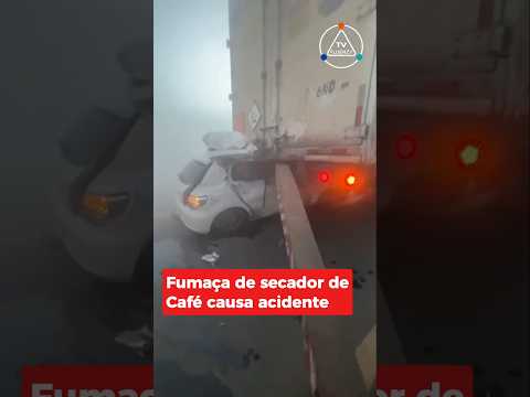 O caso foi registrado em Vila Pavão, no Espírito Santo. #shorts