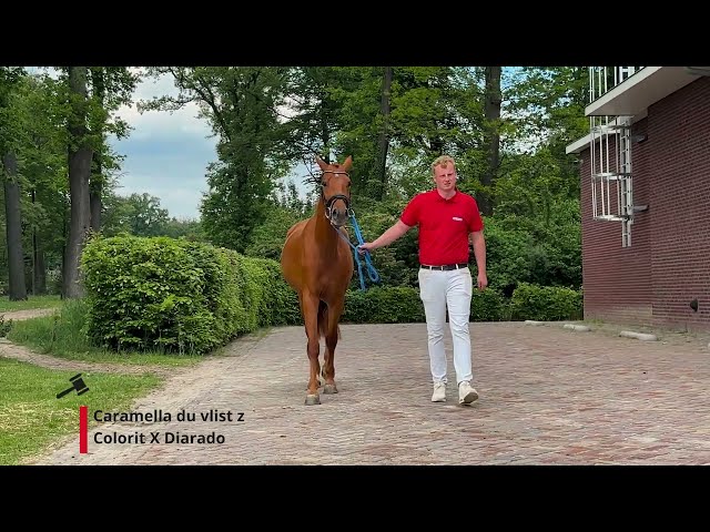 Caramella du Vlist Z