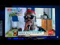 BADMAN JELLY G MAKES PEOPLE TO LAUGH NOT STOP AT NBS TV
