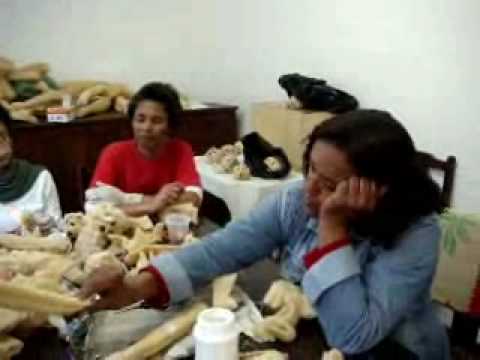 Un Jour - Projeto A Bucha Vegetal Brasileira