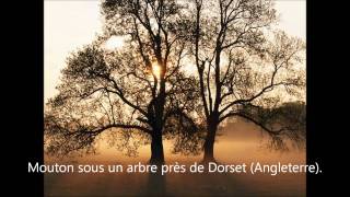 tant qu'il y aura des femmes thierry grange
