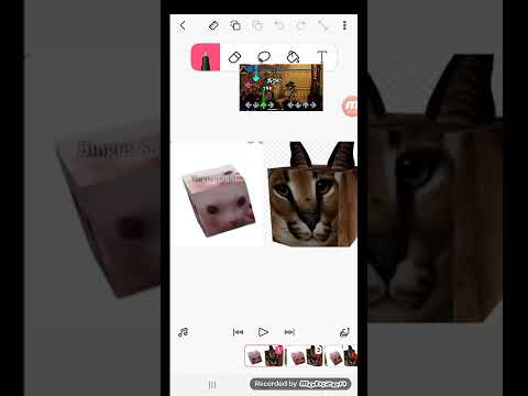 last reel but floppa and bingus fnf