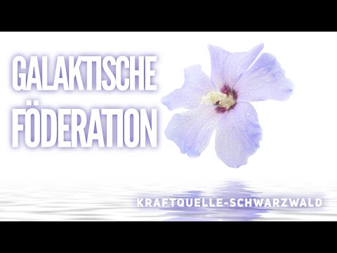 DER RAT DER GALAKTISCHEN FÖDERATION - Channelig