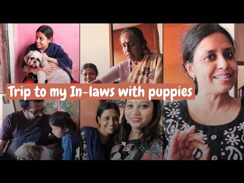 Puppies visiting bua for the first time | Meet My Sister in law | Meet my in-laws Video