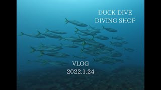 DUCK DIVE