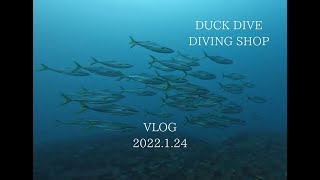 DUCK DIVE