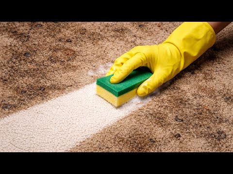 I'm no longer paying for carpet cleaning! THIS cheap trick works wonders!