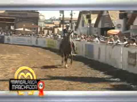 Mangalarga Marchador - programa 200