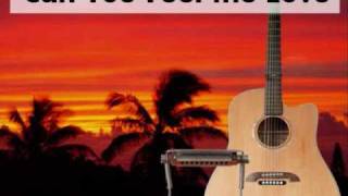 Can You Feel the Love Tonight.wmv