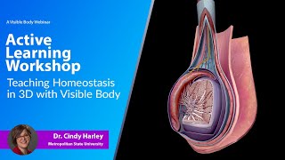 Active Learning Workshop | Teaching Homeostasis in 3D with Visible Body