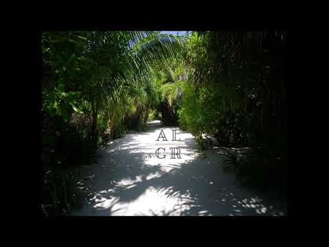 Armonica, Toshi - Ngeke (andhim Remix)