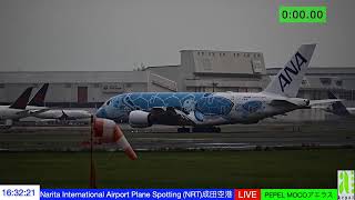 Download the video "NRTなり空港19/Oce/2025"