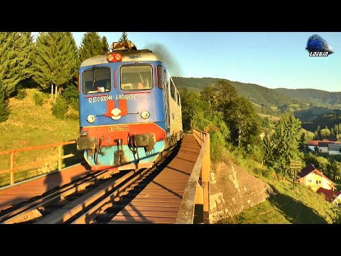Trenuri în Dealul Ștefăniței pe Apus 🚂🌄🚆 Trains in Dealul Ștefăniței on Sunset - 28 August 2025