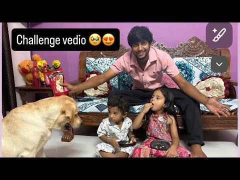 Bella Vs chiku don Vs ashita // bella the Labrador 