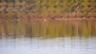 The Shelter Of Your Eyes