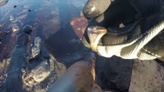 Beach Metal Detecting 1924 10KT Gold Lamp Ring