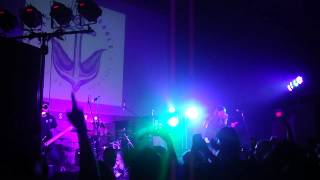 The Color Morale - Burn Victims