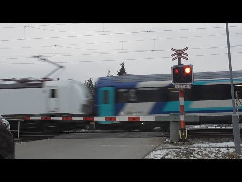 Železniční přejezd Doubravice n.Svitavou (P6807) - 22.1.2024