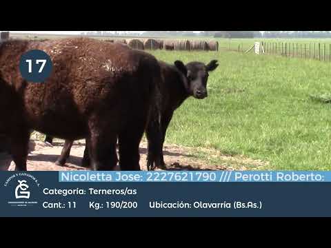 Lote M y H - Olavarria Bs As