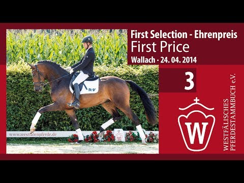 03 First Price Wallach v. First Selection - Ehrenpreis