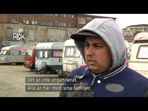 Hälften av svenskarna vill förbjuda tiggeri - Nyheterna (TV4)