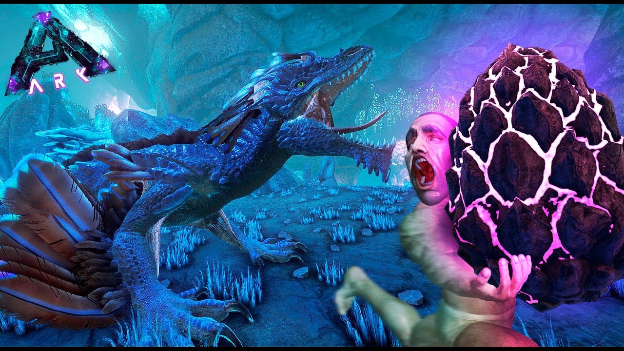 Прирученный дрейк. Прирученный дрейк. Прирученный дрейк. Прирученный дрейк. Прирученный дрейк.