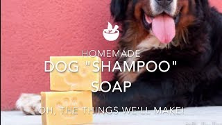 How to Make a Homemade Dog Shampoo Soap Bar