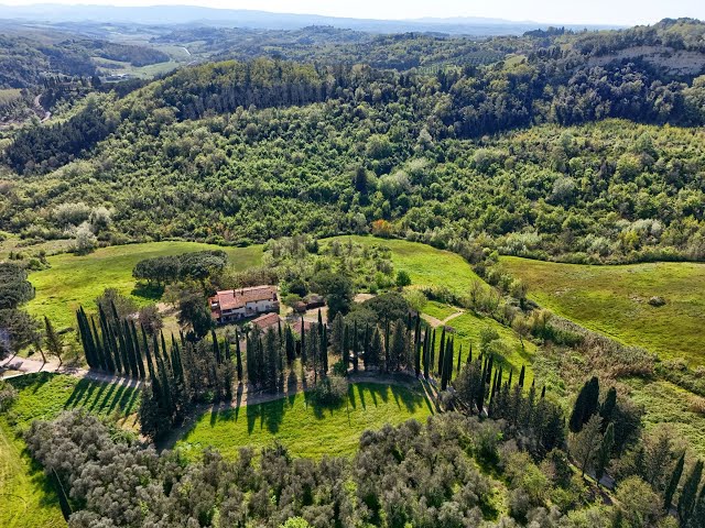 Antico Casale con Terreno in Vendita in Toscana a Palaia