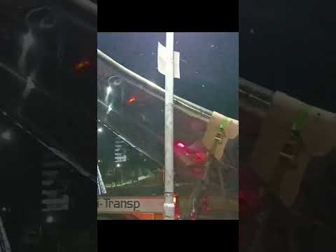 Pétalos de floratis en Baradero el pueblo más antiguo de la provincia de Buenos Aires