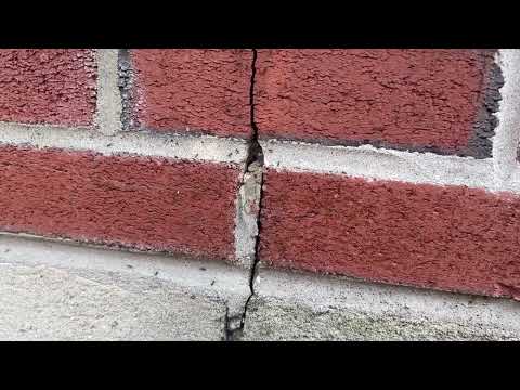 Ants Pouring Out of the Weep Hole in Hazlet, NJ