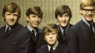 There's A Kind Of Hush - Herman's Hermits - Acoustic Guitar Lesson