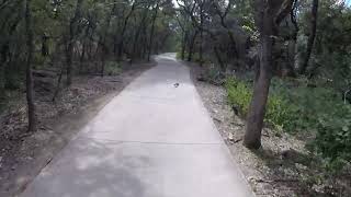 I think it's more about the music.