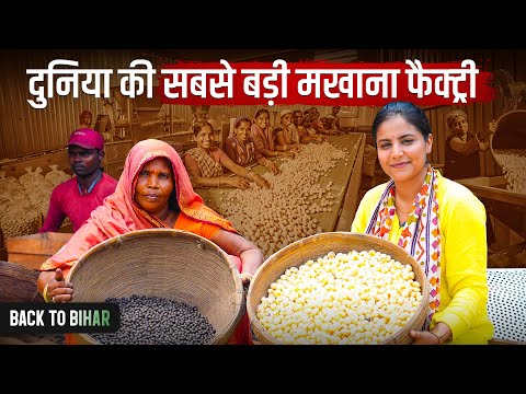 Inside The World's Biggest Makhana Factory ft. Medha | Back To Bihar | Jist