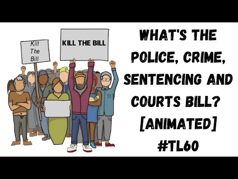 THE LAW IN 60 SECONDS | WHAT IS THE POLICE, CRIME, SENTENCING AND COURTS BILL?