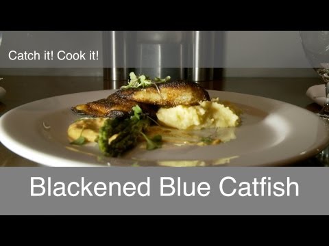 download lagu mp3 mp4 Blue Catfish Recipe, download lagu Blue Catfish Recipe gratis, unduh video klip Blue Catfish Recipe