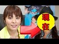 Nemoto Harumi S Current Appearance Is A Hot Topic
