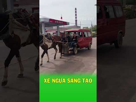 Bác nông dân biến ô tô cũ thành xe ngựa hạng sang