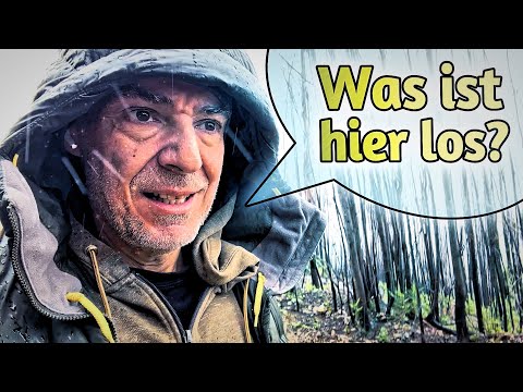 Wild Spirit NEWS: Severe weather in Portugal / Visit me in spring / YouTube channel updates | Jay...