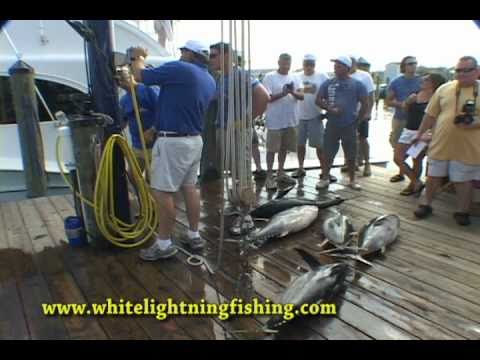 White Lightning fishing video