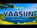 SURAT YASIN SURAH YASEEN 2 Jam FUll