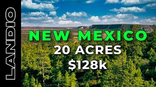 20 Acres of Land for Sale in New Mexico bordering National Forest • LANDIO