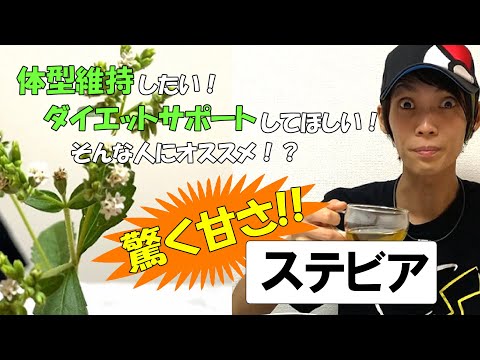ステビア、甘いハーブ 植物