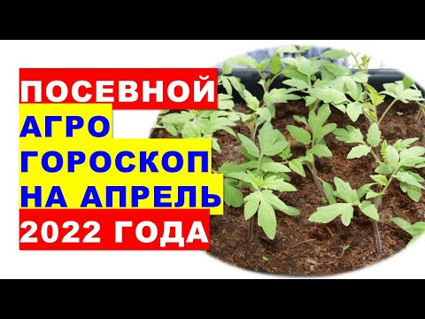 , title : 'Посевной агрогороскоп на апрель 2022 года'