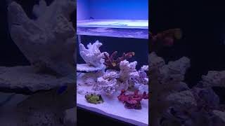 Download lagu 20220729 201621 mp3 Download lagu 20220729 201621 mp3