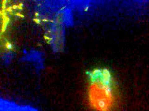 Mistrecat e Beratit-U Rikthyem Live