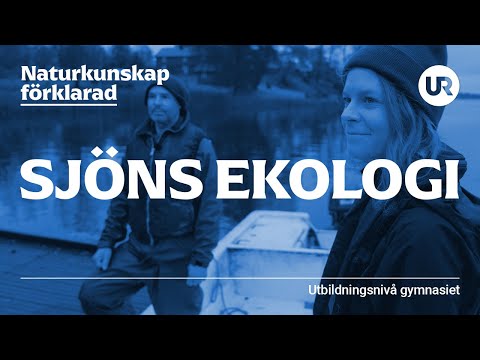 Sjöns ekologi förklarad | BIOLOGI | Gymnasienivå