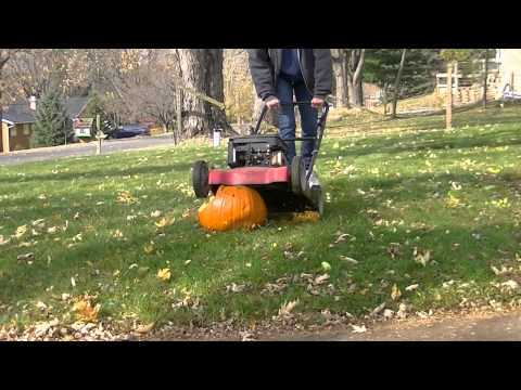 download lagu mp3 mp4 Where To Get Rid Of Pumpkins, download lagu Where To Get Rid Of Pumpkins gratis, unduh video klip Where To Get Rid Of Pumpkins