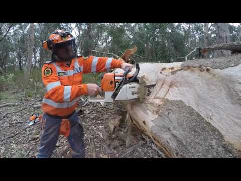 SES Cross Cut Training